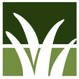 Madera Lawn Clean Up