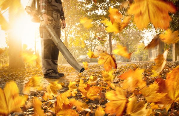 Leaf Blowing Service in Madera
