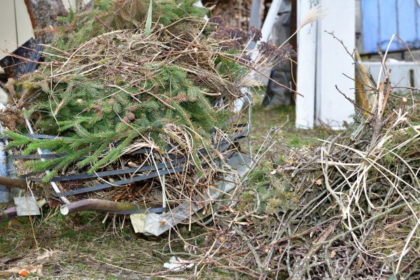 Yard Debris Removal in Madera