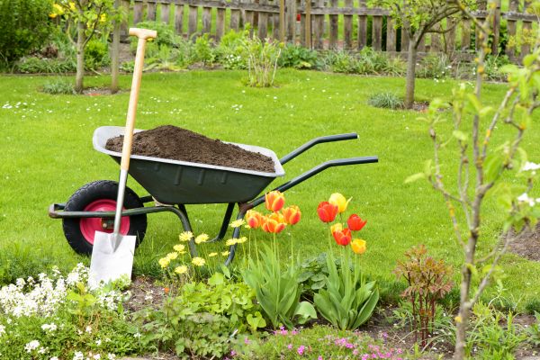 Spring Yard Cleanup in Madera