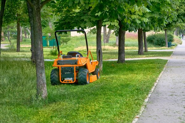Landscaping Cleanup Service in Madera