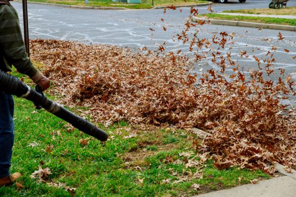 Garden Leaf Removal in Madera