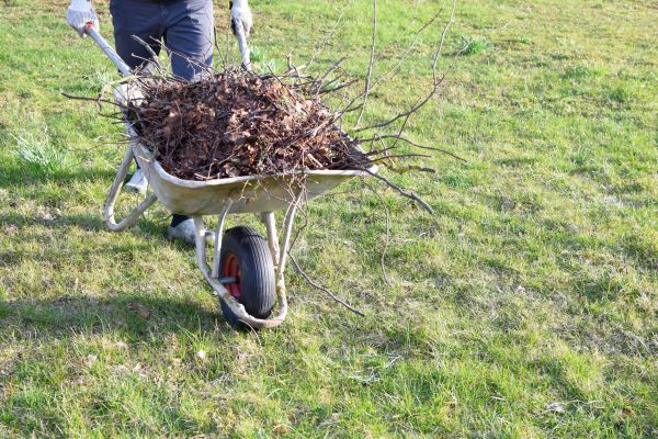 Yard Brush Removal in Madera