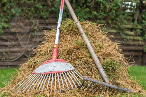 Cost of Pine Straw Clearing in Madera