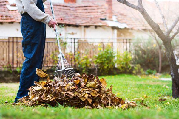 Spring Lawn Cleanup in Madera