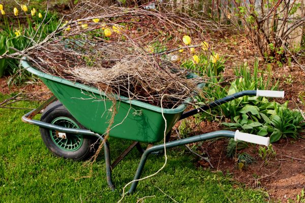 Lawn Waste Removal in Madera