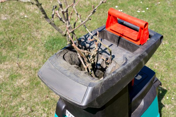 Cost of Brush Cleanup Service in Madera