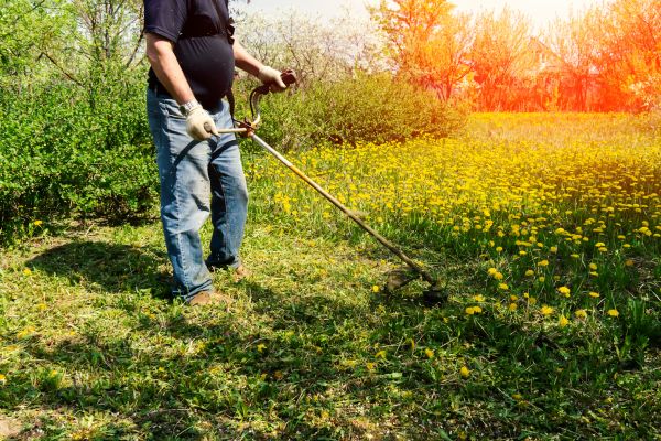 Cost of Yard Clearing Service in Madera