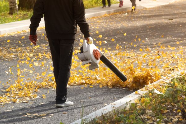 Commercial Leaf Removal in Madera