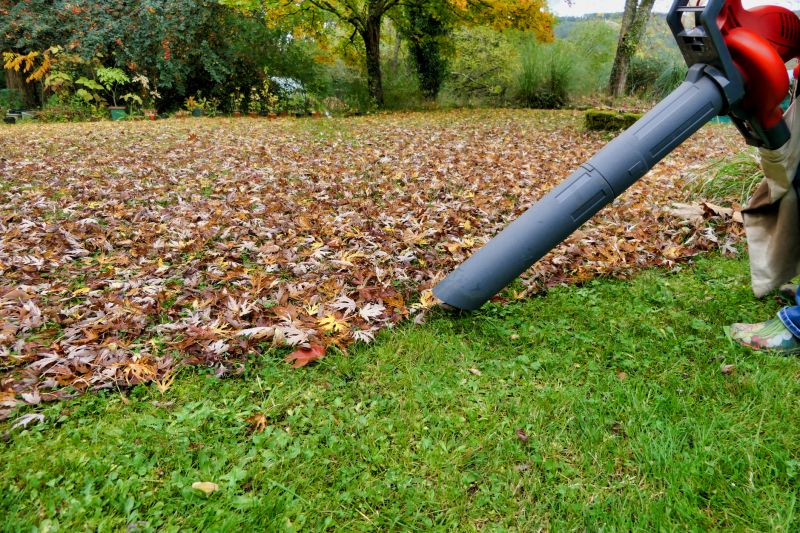 Efficient Leaf Blowing